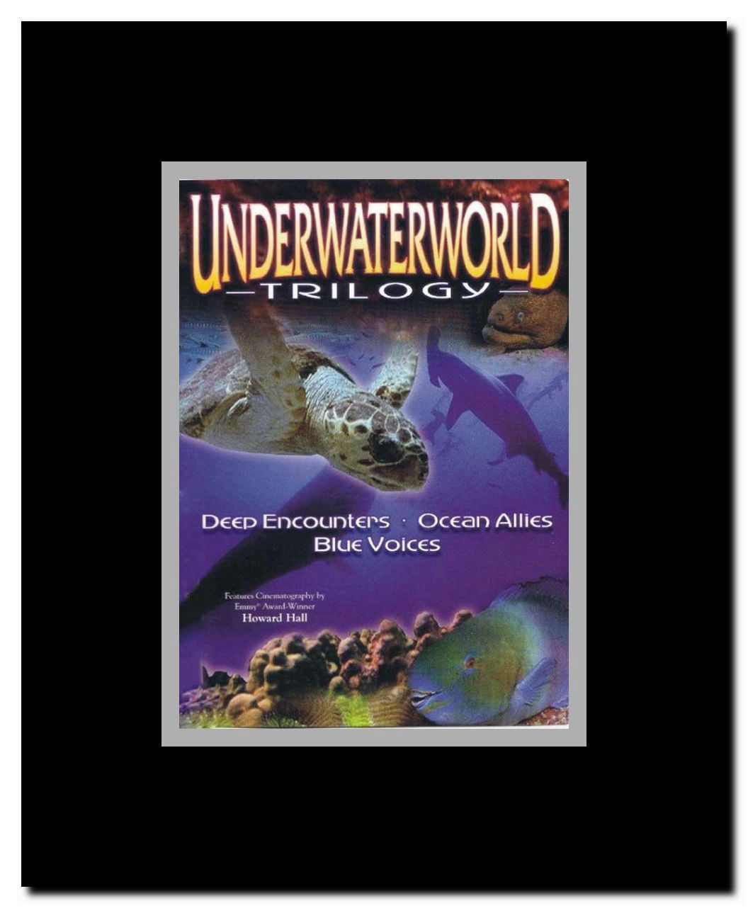 Underwater Impressions Framed Movie Poster