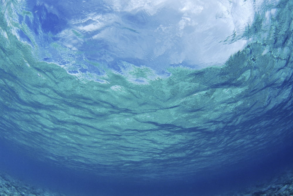 Underwater Ocean Looking Upward To Surface Blue Sky Reflection Canvas Art - Don King Design Pics (38 x 24)