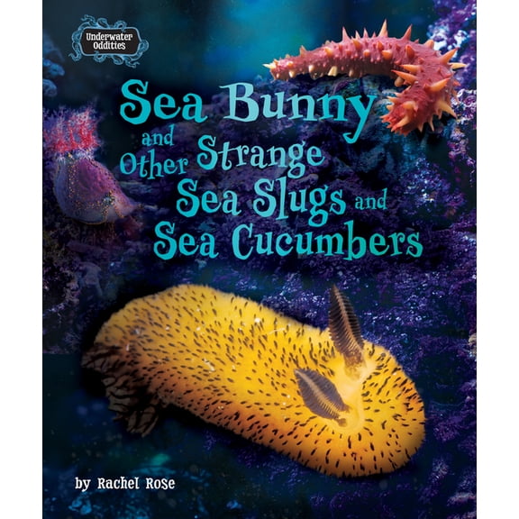 Underwater Oddities Sea Bunny and Other Strange Sea Slugs and Sea Cucumbers, (Hardcover)