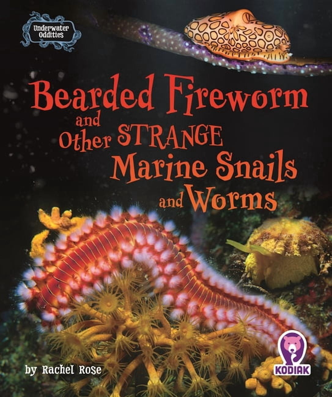 Underwater Oddities Set Two Bearded Fireworm and Other Strange Marine ...