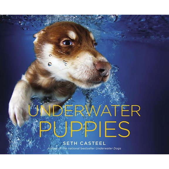 Pre-Owned Underwater Puppies, (Hardcover)