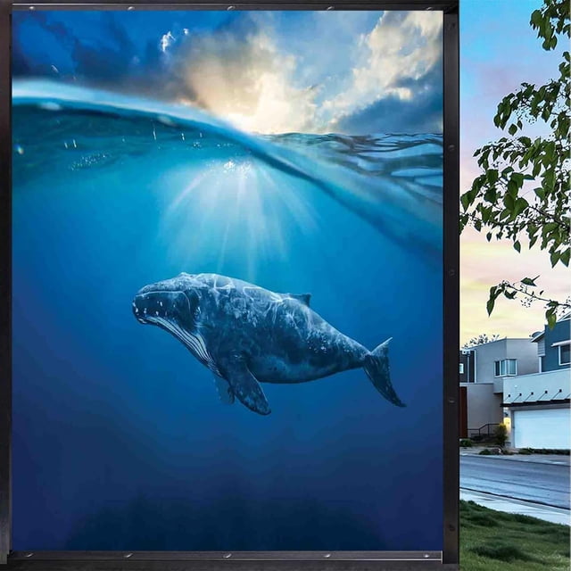 Underwater Scenery Nighttime Privacy Window Film, Beautiful Fish Window