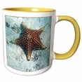 thumbnail image 1 of 3drose, Underwater Starfish with Nautical Rope Frame, 11oz Two-tone Yellow Mug, 1 of 6