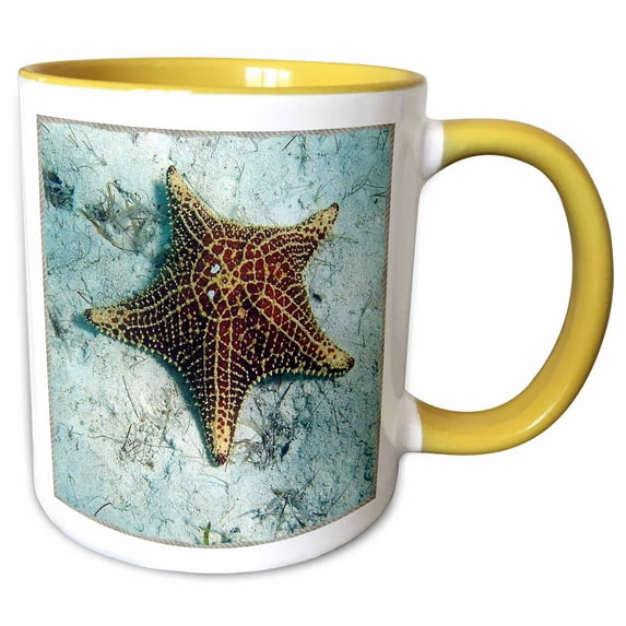 3drose, Underwater Starfish with Nautical Rope Frame, 11oz Two-tone Yellow Mug