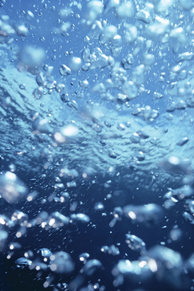 Underwater View Of Air Bubbles Near Surface Canvas Art - Mary Van de Ven Design Pics (24 x 38)