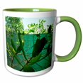 thumbnail image 1 of 3drose, Underwater View of Plant Life, 15oz Two-tone Green Mug, 1 of 6