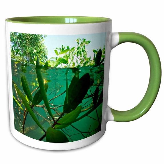 3drose, Underwater View of Plant Life, 15oz Two-tone Green Mug