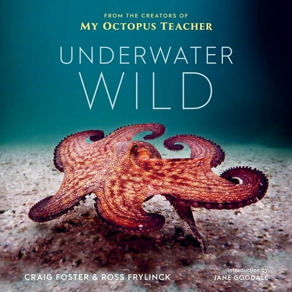 Underwater Wild: My Octopus Teacher's Extraordinary World, (Hardcover)