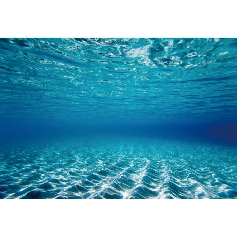 Underwater World Seabed Backdrops Summer Ocean Undersea Sunlight Sun