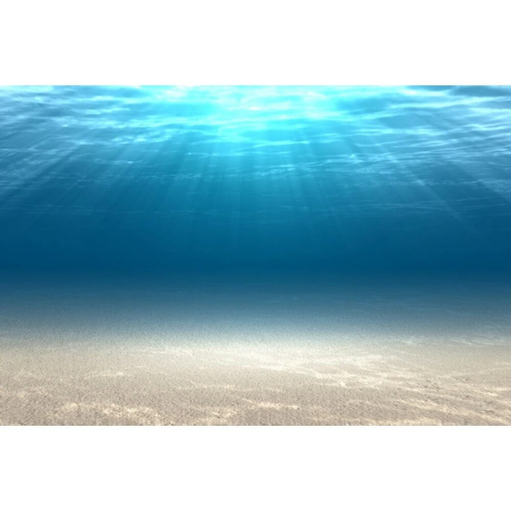 Underwater World Seabed Photography Backdrop Undersea Sunshine Fish