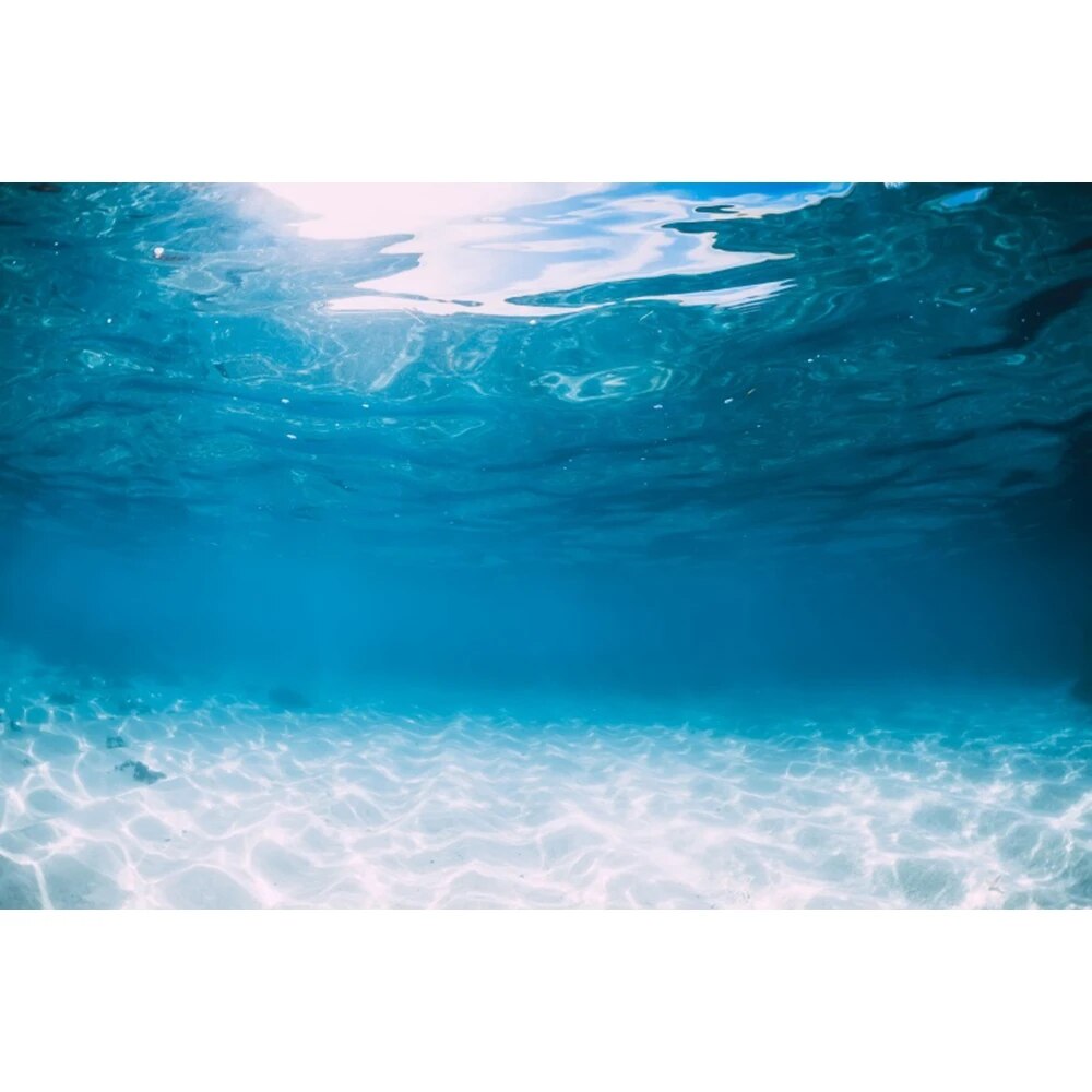 Underwater World Seabed Photography Backdrop Undersea Sunshine Fish