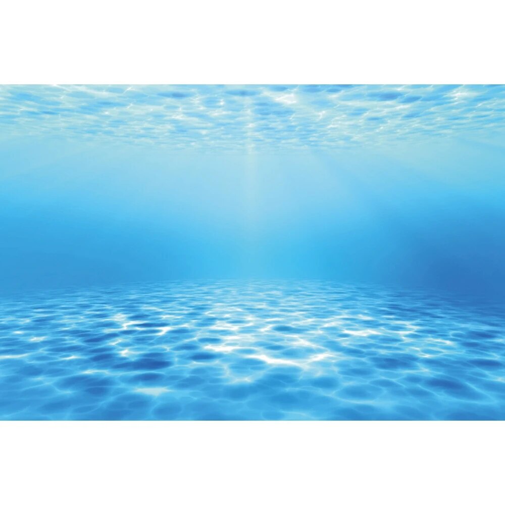 Underwater World Seabed Photography Backdrop Undersea Sunshine Fish