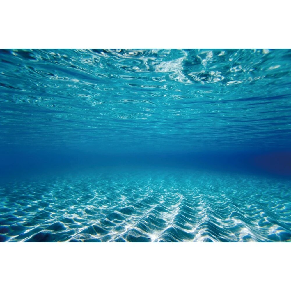 Underwater World Seabed Photography Backdrop Undersea Sunshine Fish