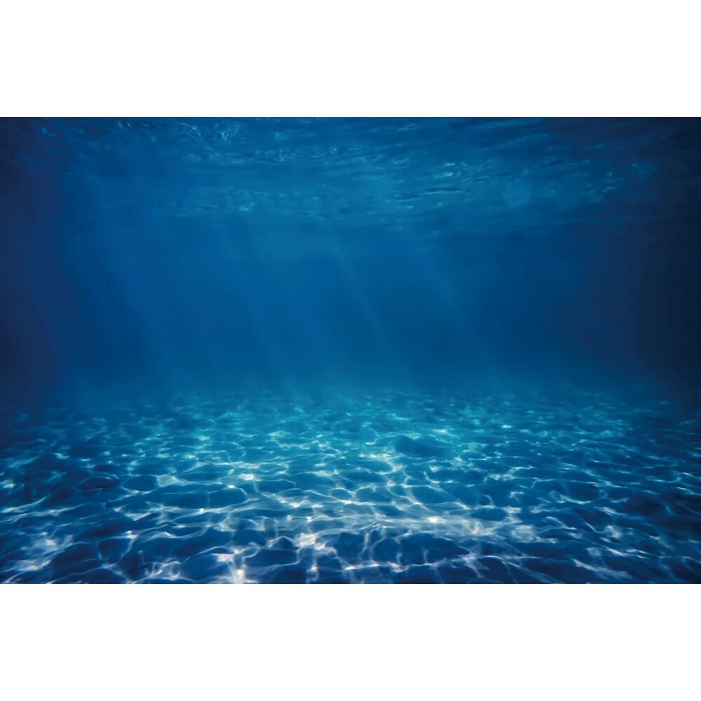 Underwater World Seabed Photography Backdrop Undersea Sunshine Fish