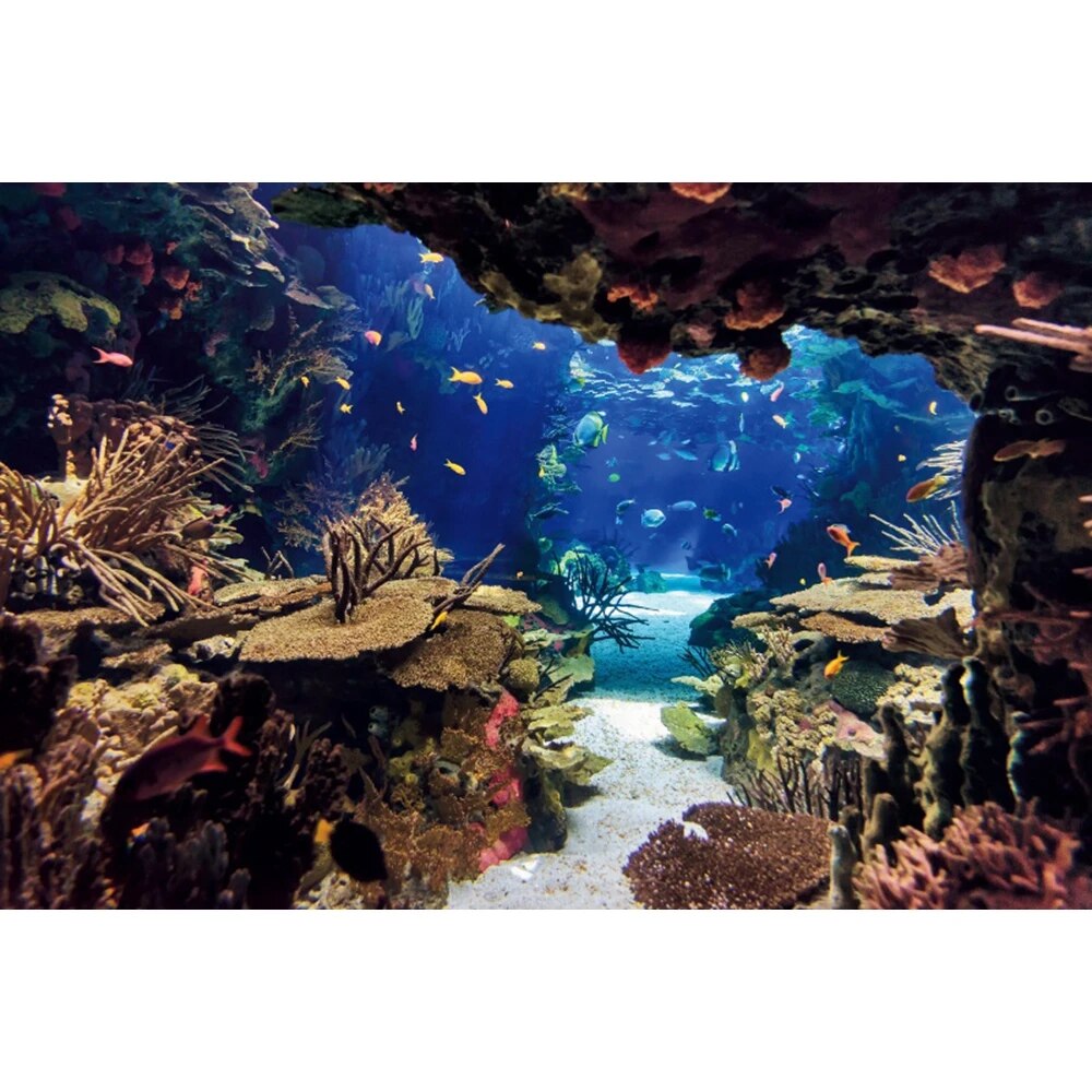 Underwater World Seabed Photography Backdrop Undersea Sunshine Fish