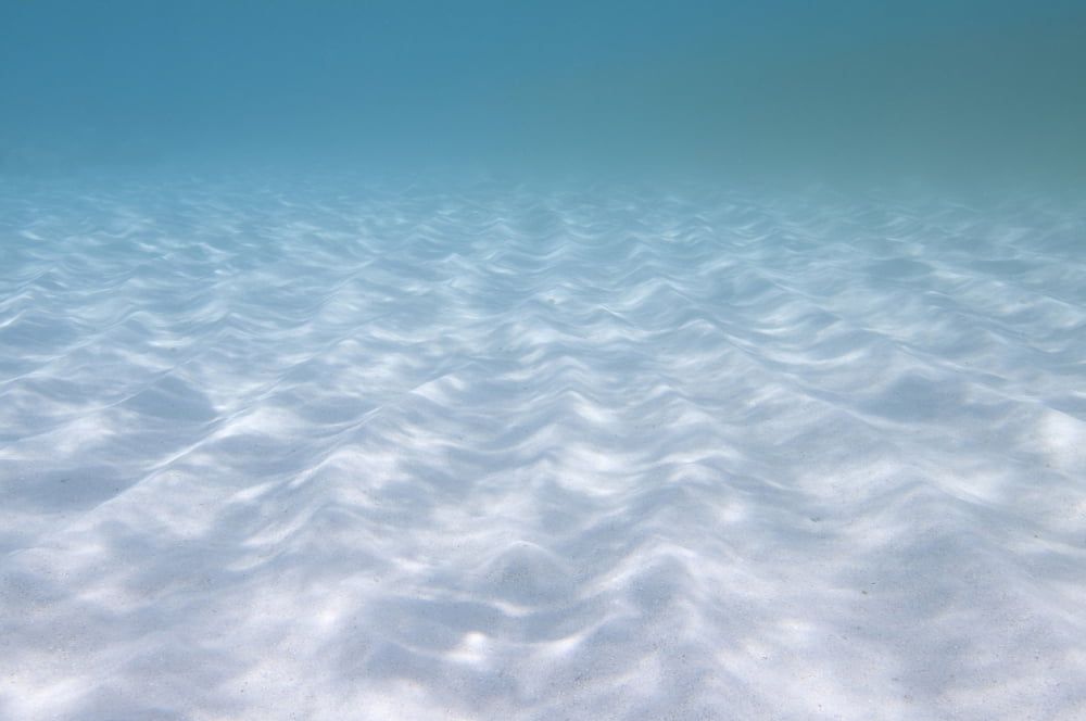 Underwater sand ripples in the Caribbean Sea Mexico Canvas Art - Karen DoodyStocktrek Images (18 x 12)
