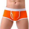 thumbnail image 1 of Underwear Briefs Mens Solid Pouch Underpants Shorts Sexy Breathe Men's underwear, 1 of 1
