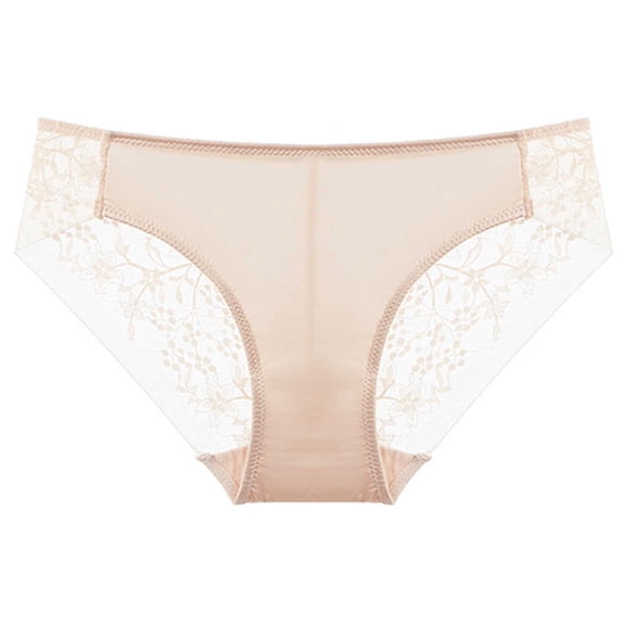 Underwear French Thin Mesh Lace Panties Womens Sheer Low Waist Bikini Underpants Womens Underwear Packs S