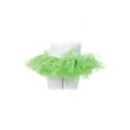 thumbnail image 1 of Underwraps Girls' Green Tutu, 1 of 2