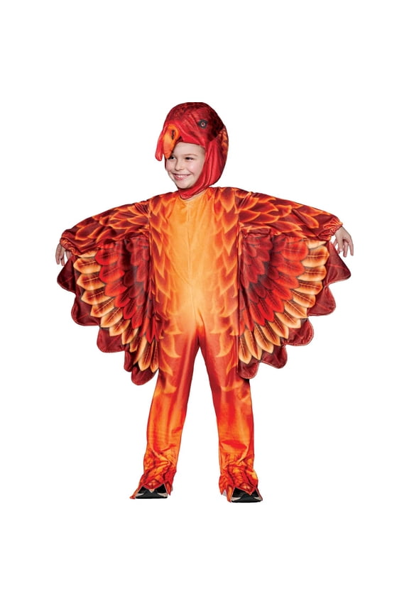 Toddler Turkey Printed Costume - Size 4-6