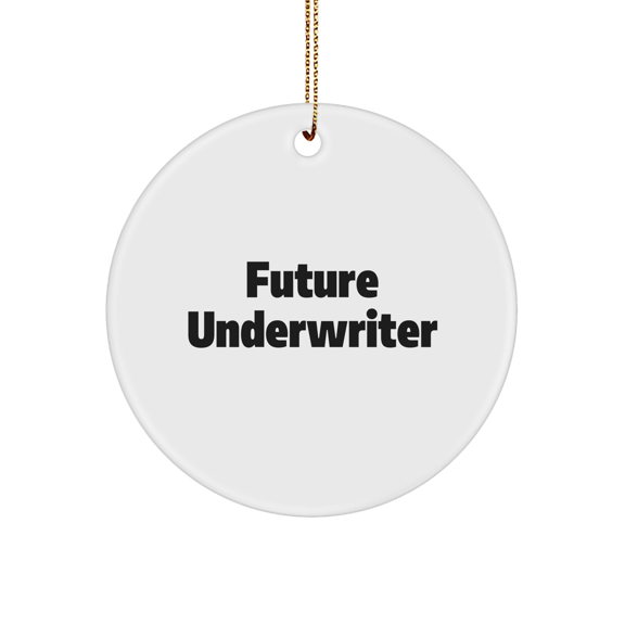 Underwriter Circle Ornament Gifts from Men to Future Underwriter, Funny Quote Circle Ornament, Christmas, Underwriter Gifts