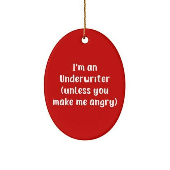 Underwriter Gifts for Men Women, I'm an Underwriter (Unless You), Useful Underwriter Oval Ornament, Christmas Ornament from Boss, , Thankful for Friends, Gifts from Loved Ones, Presents from Buddies,