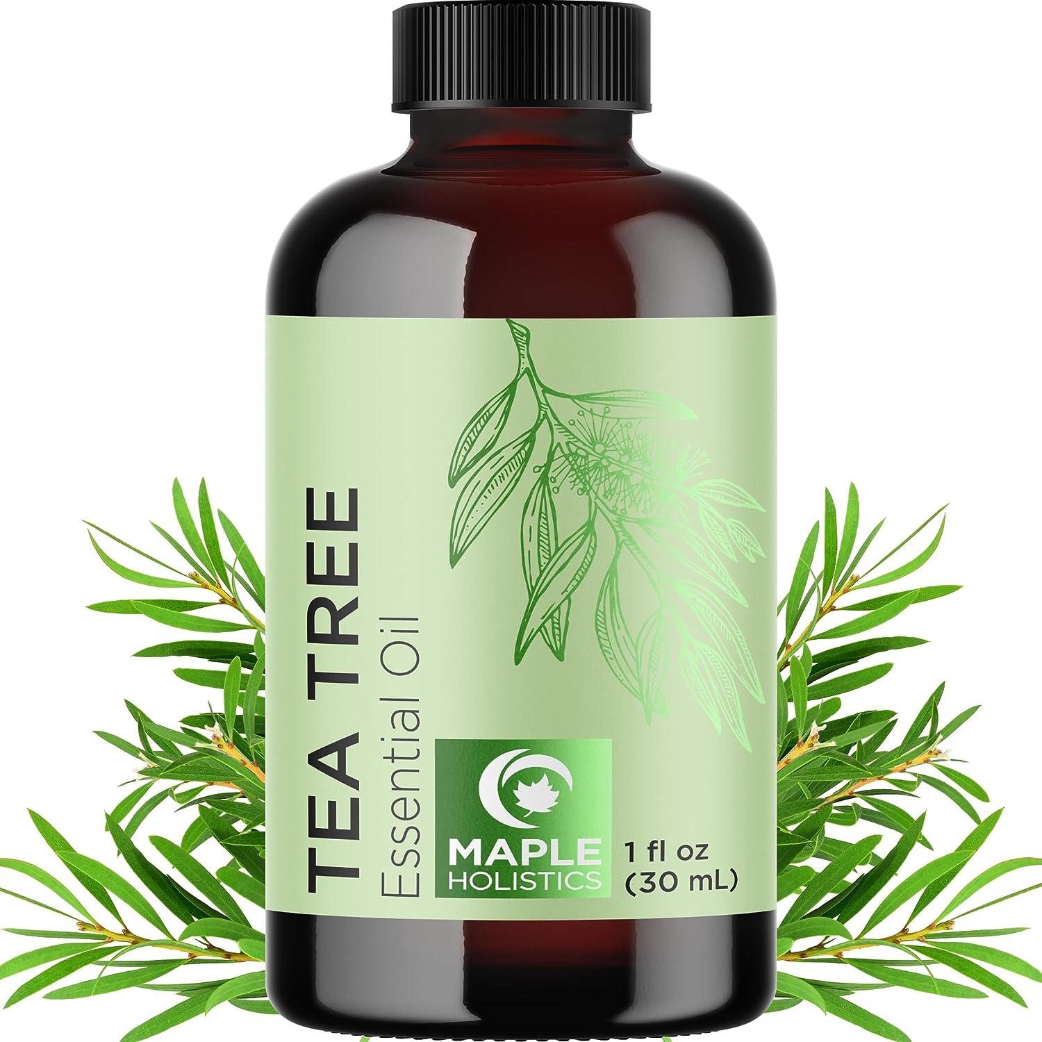 Undiluted Australian Tea Tree Essential Oil for Hair Skin and Nails - Pure Tea Tree Oil for Skin Cleanser Foot Soak and Dry Scalp Treatment, 1 fl oz - image 1 of 6