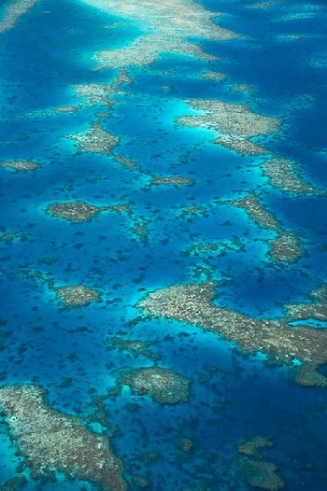 Undine Reef Great Barrier Reef Queensland Australia Canvas Art - David Wall DanitaDelimont (18 x 26)