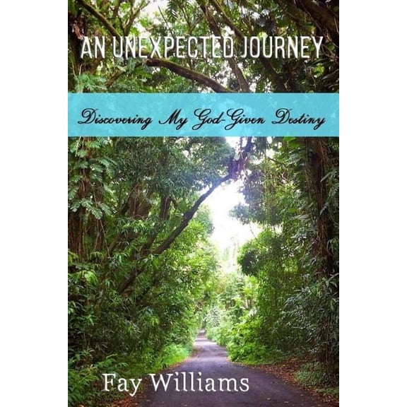 Unexpected Journey : Discovering My God-given Destiny