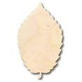 thumbnail image 1 of Unfinished Wood Elm Leaf Shape - Fall - Craft - up to 46" DIY 20" / 1", 1 of 3