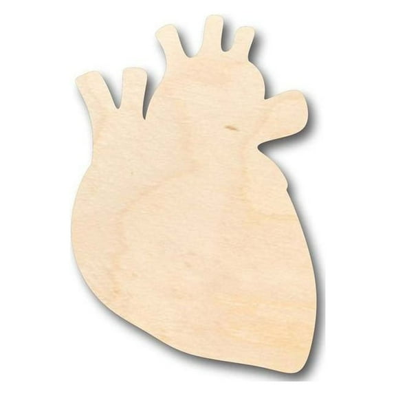 Unfinished Wood Human Heart Shape - Craft - up to 46" DIY 10" / 1/4"