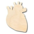 thumbnail image 1 of Unfinished Wood Human Heart Shape - Craft - up to 46" DIY 14" / 3/4", 1 of 3