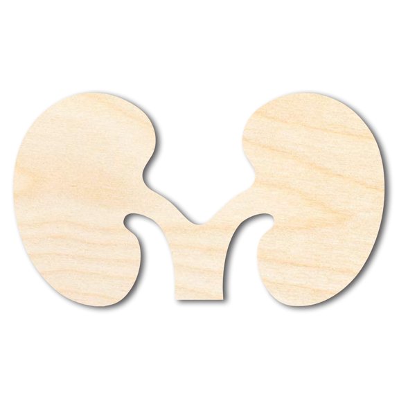 Unfinished Wood Kidney Shape | DIY Craft Cutout | up to 46" DIY 36" / 3/4"