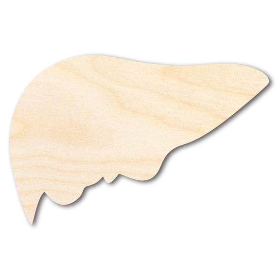 Unfinished Wood Liver Shape | DIY Craft Cutout | up to 46" DIY 10" / 3/4"
