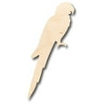 thumbnail image 1 of Unfinished Wood Macaw Shape - Animal - Wildlife - Pet - Craft - up to 46" DIY 20" / 3/4", 1 of 3