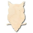 thumbnail image 1 of Unfinished Wood Owl Shape - Animal - Wildlife - Craft - up to 46" DIY 14" / 3/4", 1 of 3