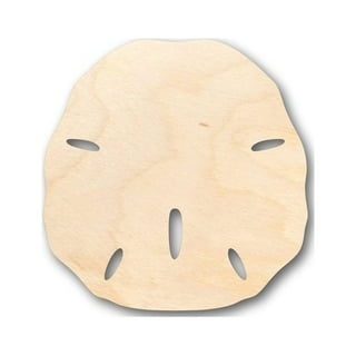 Small Sand Dollars 1-1.5 - Sand Dollar - Craft Supply - Beach