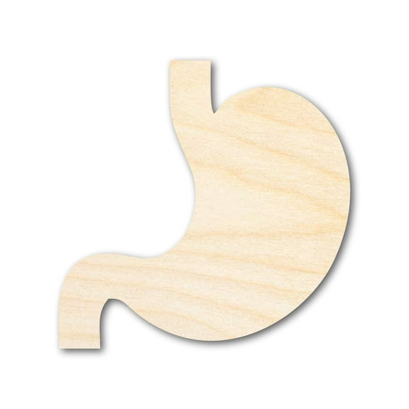 Unfinished Wood Stomach Shape 3" / 1/8"