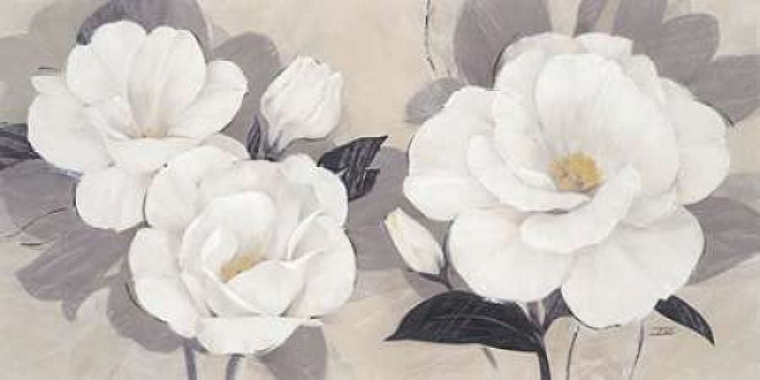 Unfolding Blossoms Canvas Art - Ivo Stoyanov (10 x 20)