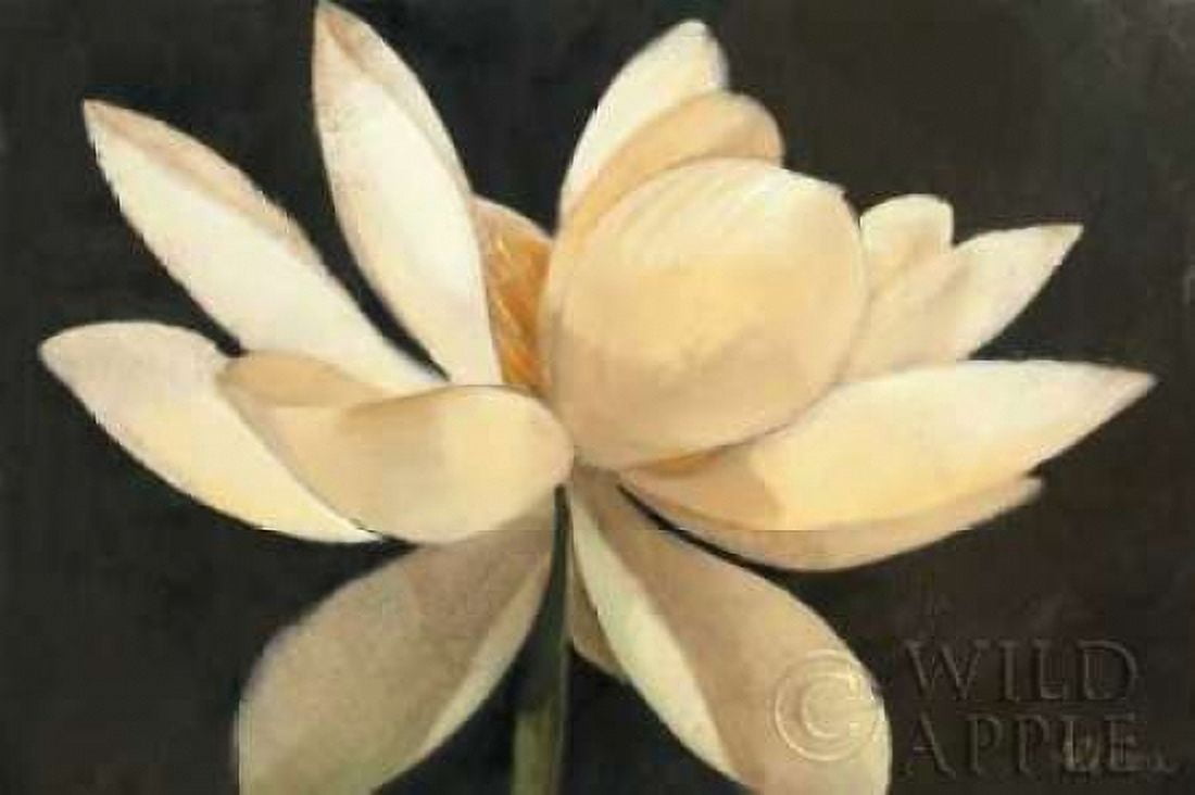 Unfolding Canvas Art - Albena Hristova (24 x 36)
