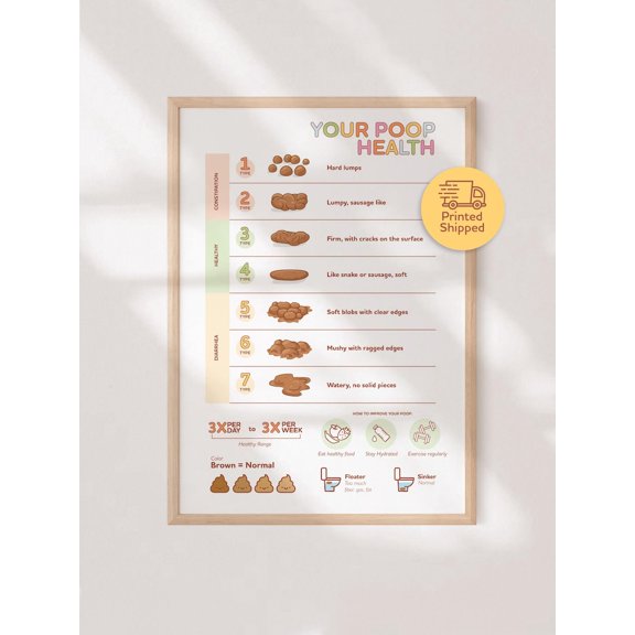 Unframed Bristol Stool Scale Chart Poster Digestive System Health Anatomy Art Print