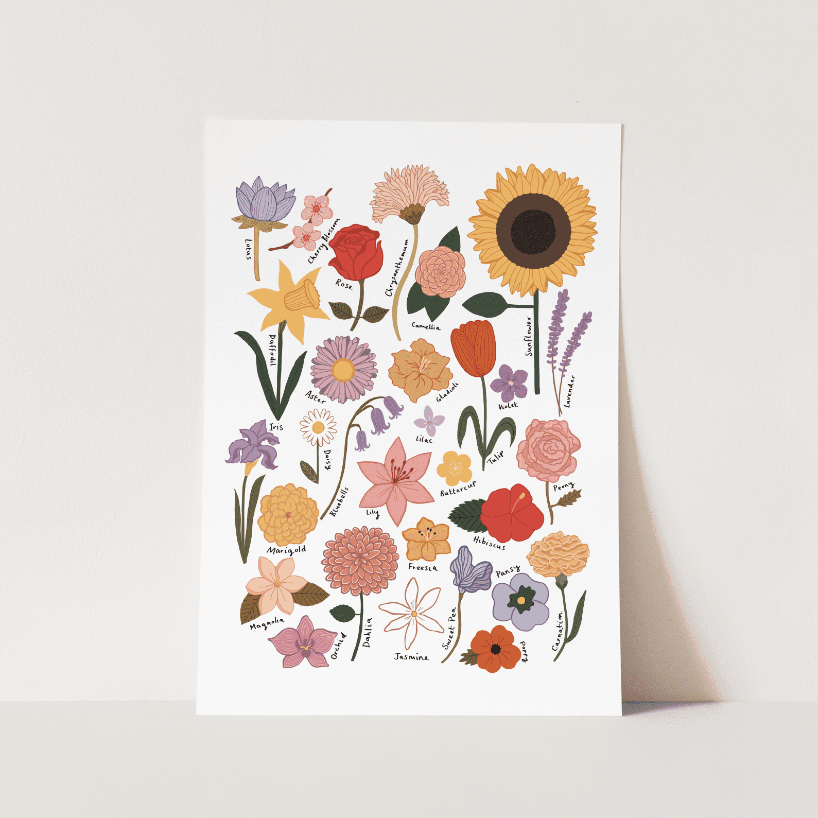 (Unframed) Flower Chart / Fine Art Print - Walmart.com