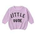 thumbnail image 1 of UngA Boys Pumpkin Sweater Toddler Baby Halloween Sweater Sweatshirt Boy Girl Pumpkin Embroidey Cardigan Sweater Long Sleeve Warm Fall Winter Clothes Light Purple,4-5 Years, 1 of 6