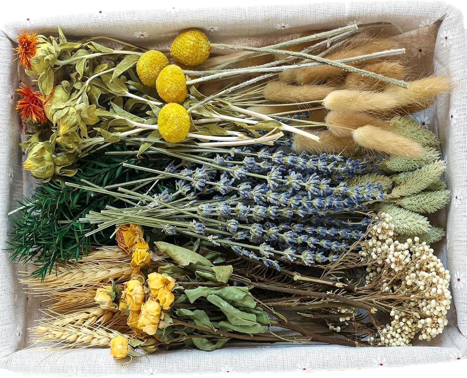 DIY Natural Dried Flower Set, Bulk Dried Flowers for Vase, Dried ...