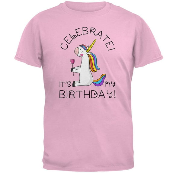 Unicorn Celebrate it's my Birthday Mens T Shirt Pink 3X-LG