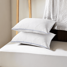 Free Shipping Three Geese Goose Feather Down Pillows Set Of 2 Luxury Bed Pillows Insert Queen Size 100 Cotton Fabric Hotel Colletion Pillows For Stomach Side And Back Sleepers 20 x28 Walmart