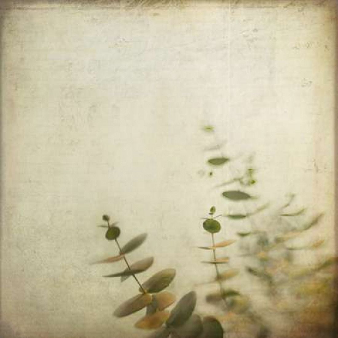 Union Canvas Art - Dawn D Hanna (24 x 24)