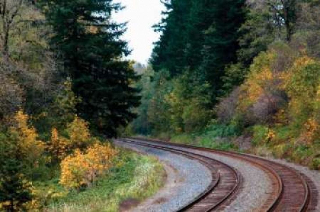 Union Pacific II Canvas Art - Erin Berzel (20 x 28)