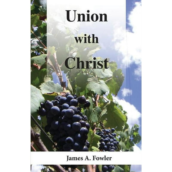 Union with Christ: Seeking a Balanced Understanding (Paperback)