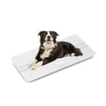 thumbnail image 1 of Unipaws Pet Scale 220lbs - Dog Scale with Backlit LCD & Tempered Glass, AiLink App for Weight Tracking, lb/kg/st - for Home, Vet Clinic, Small Medium Dogs, 1 of 7